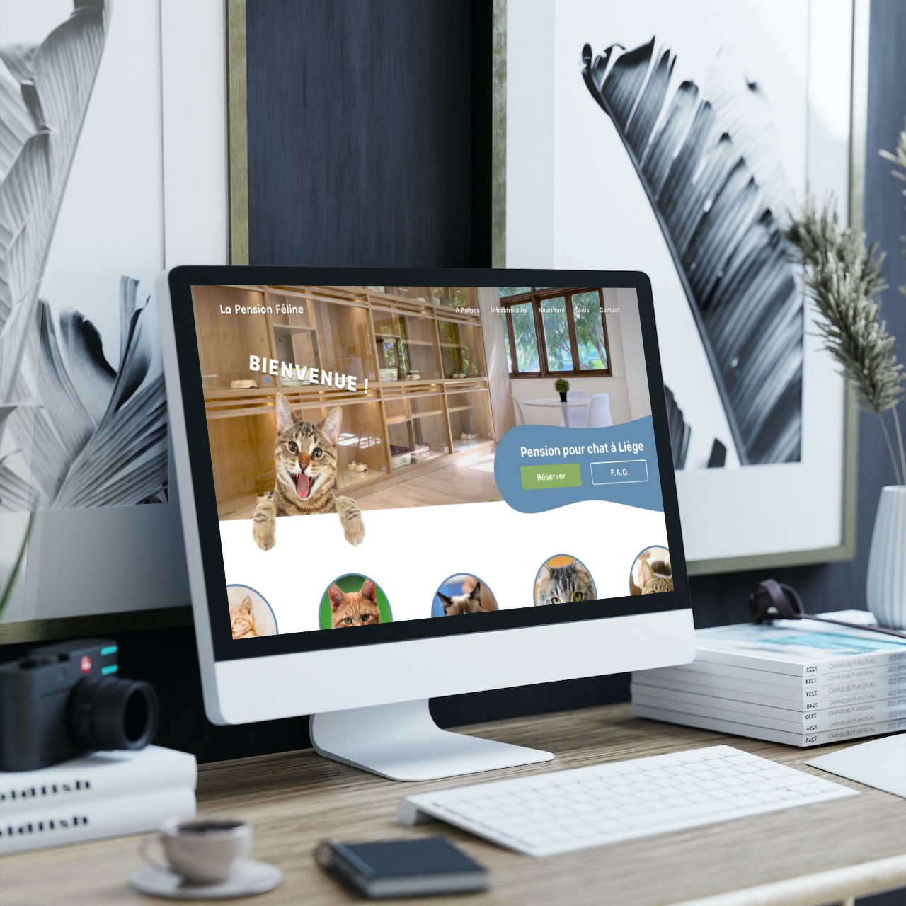 Site internet d'une pension pour chats sur un IMac